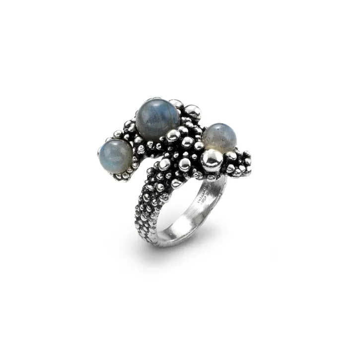 Via Lattea Ring
