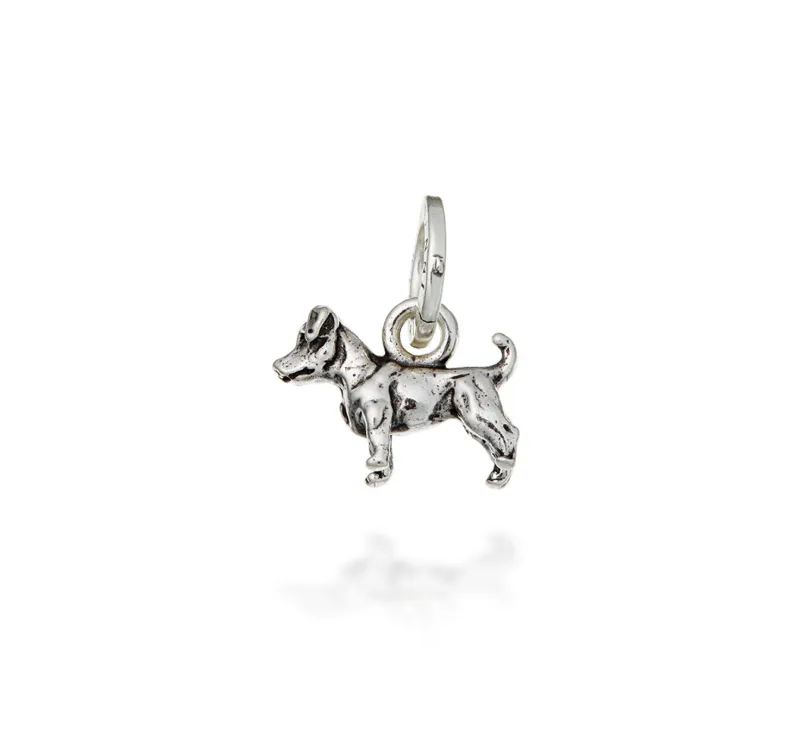 Charm Jack Russell